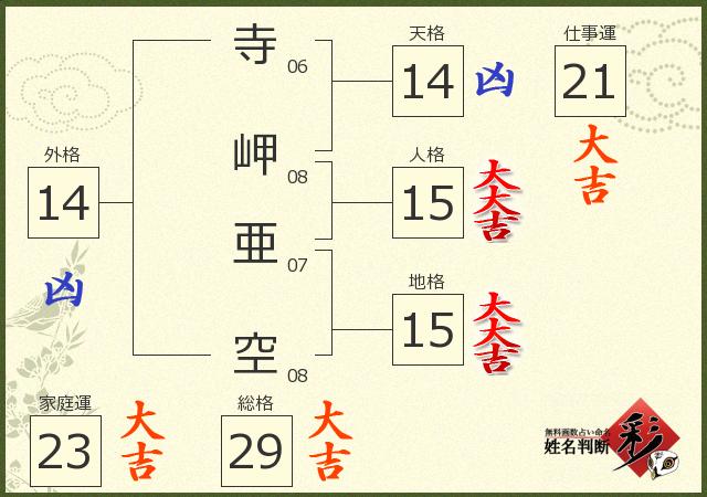 診断結果画像