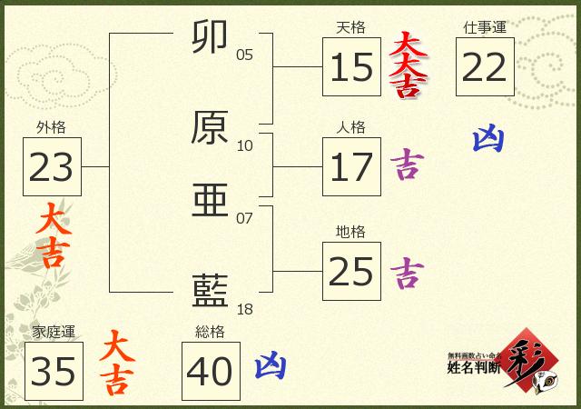 診断結果画像