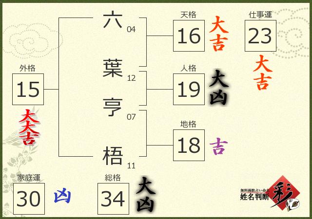診断結果画像