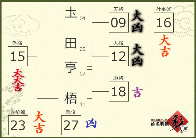 診断結果画像