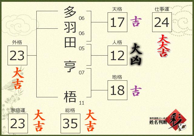 診断結果画像