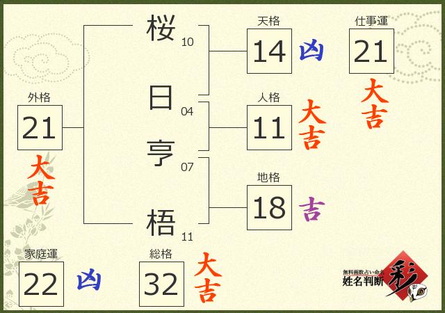 診断結果画像