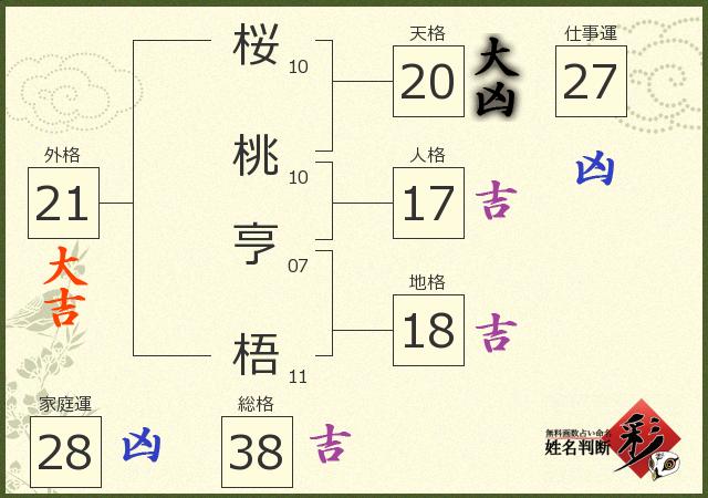 診断結果画像