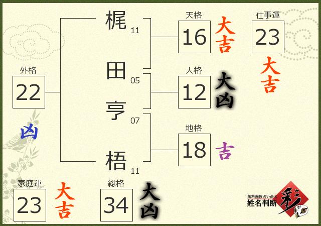 診断結果画像