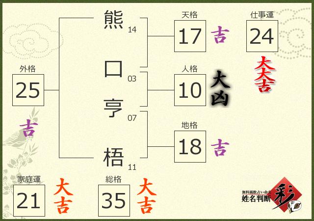 診断結果画像