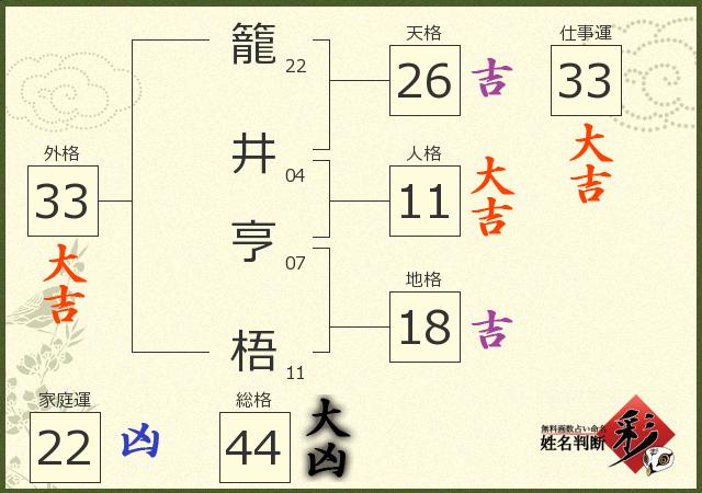 診断結果画像
