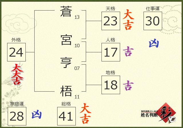 診断結果画像