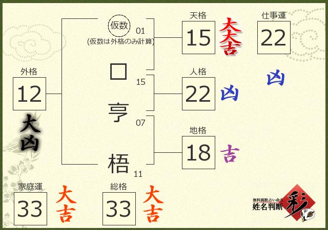 診断結果画像
