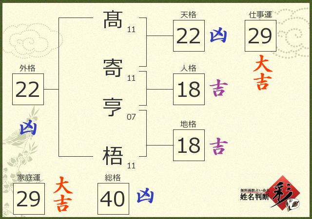 診断結果画像