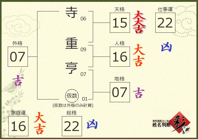 診断結果画像