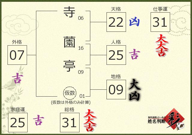 診断結果画像