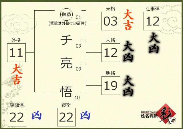 診断結果画像