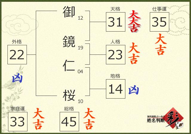 診断結果画像