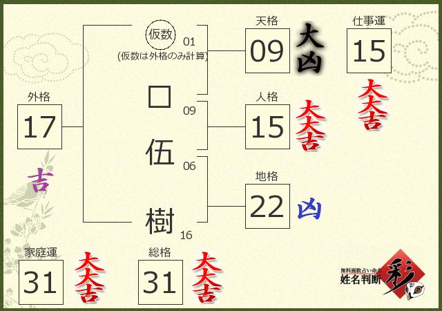 診断結果画像