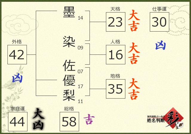 診断結果画像