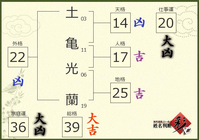 診断結果画像