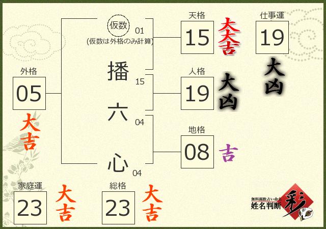 診断結果画像