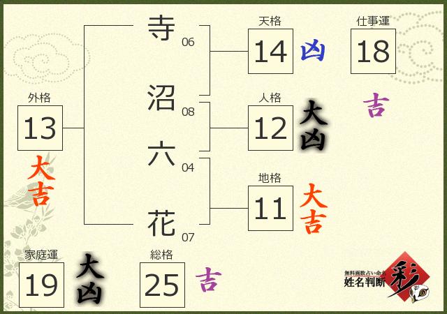 診断結果画像