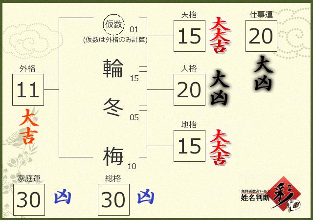 診断結果画像
