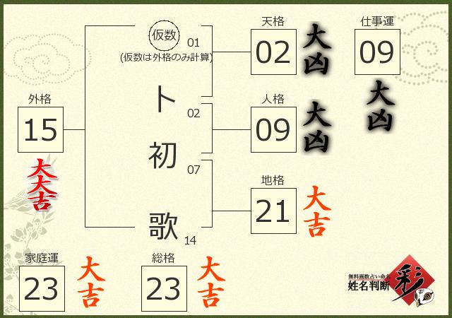 診断結果画像