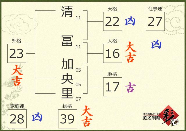 診断結果画像