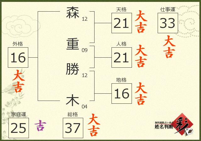 診断結果画像