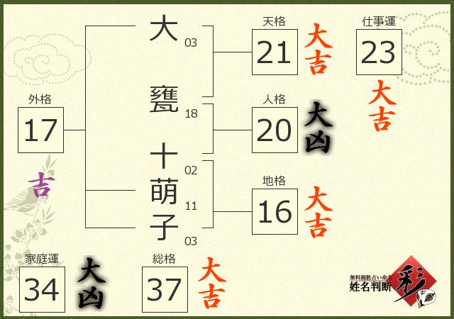 診断結果画像