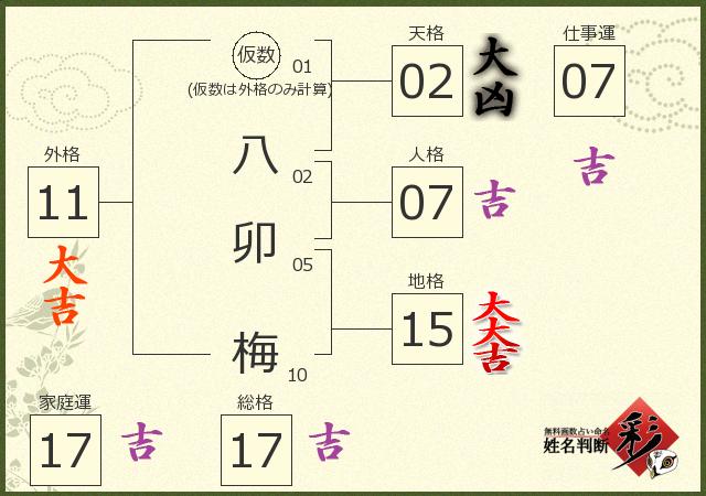 診断結果画像