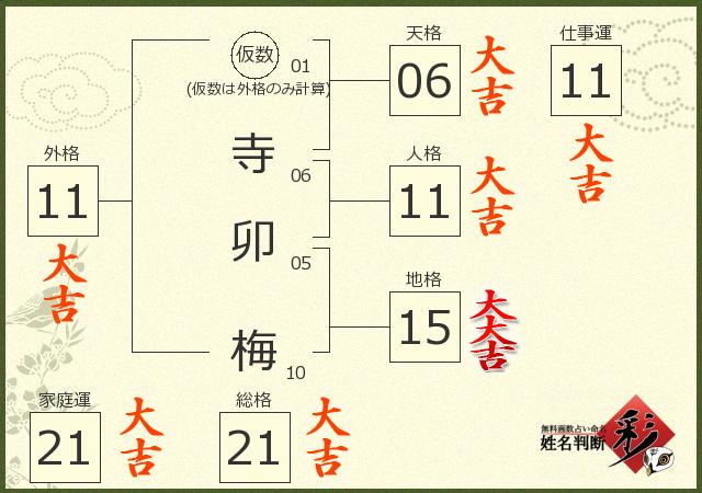 診断結果画像