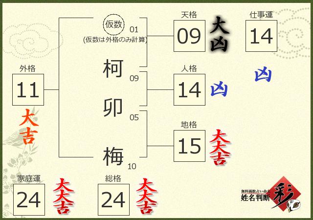 診断結果画像