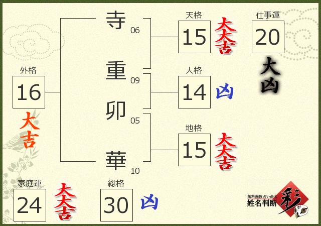 診断結果画像