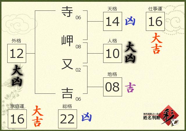 診断結果画像