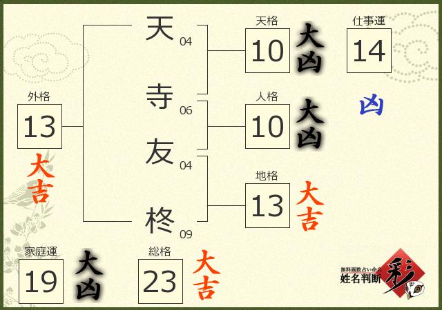 診断結果画像