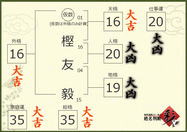 診断結果画像