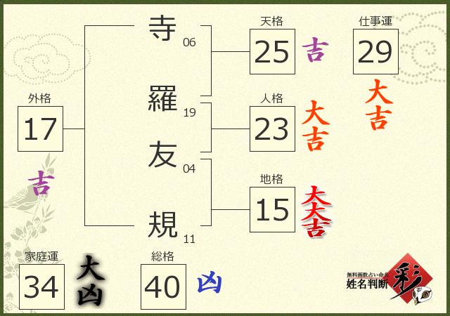 診断結果画像