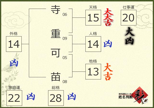 診断結果画像