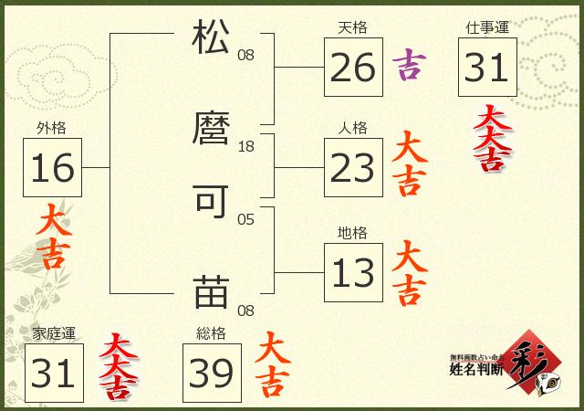診断結果画像
