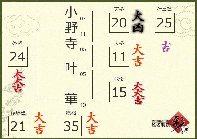診断結果画像