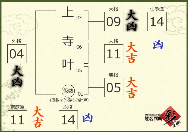 診断結果画像