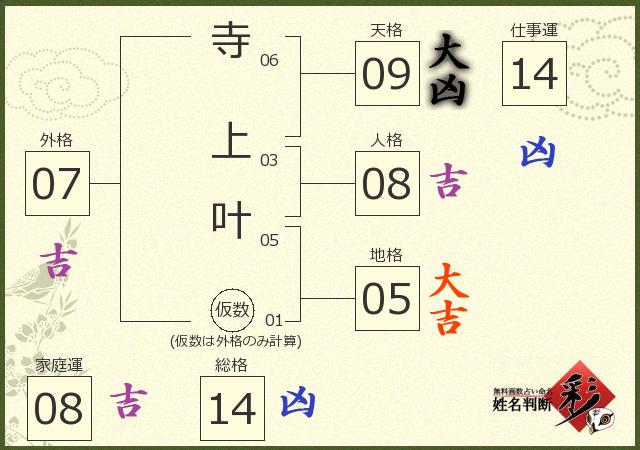 診断結果画像