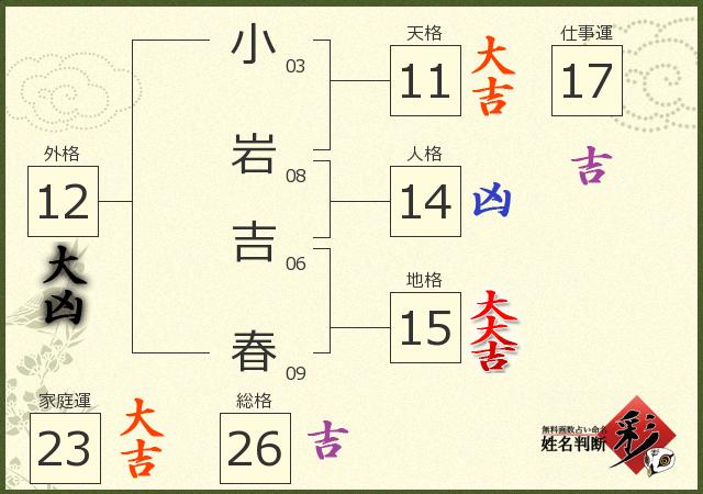 診断結果画像