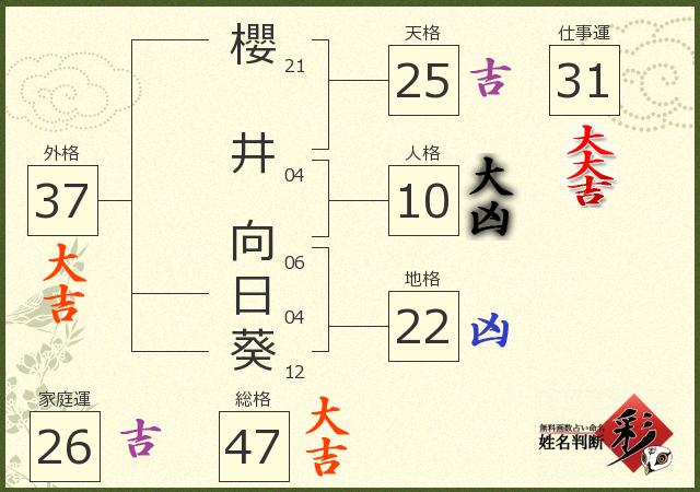 診断結果画像