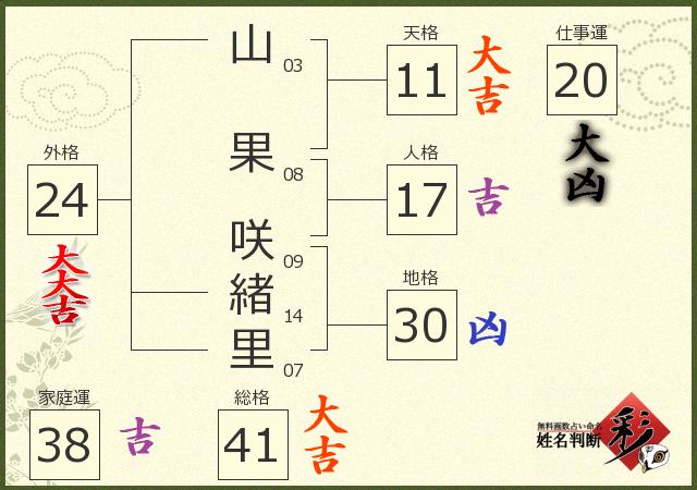 診断結果画像