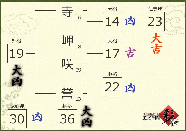 診断結果画像
