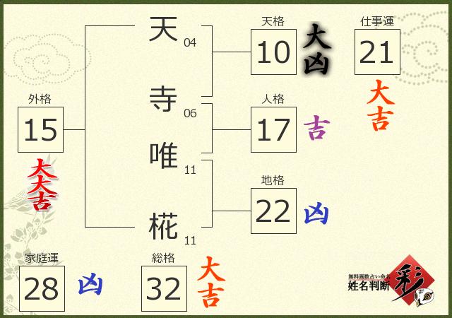 診断結果画像
