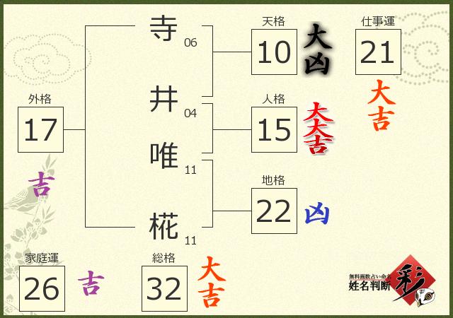 診断結果画像