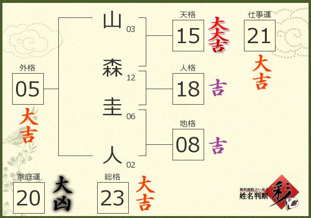 診断結果画像