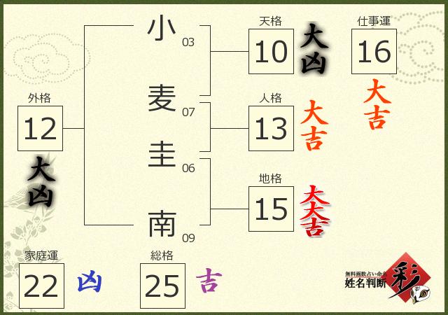 診断結果画像