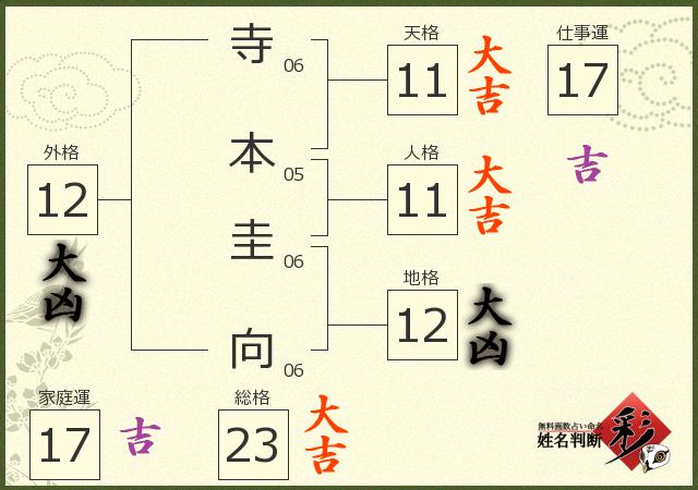 診断結果画像