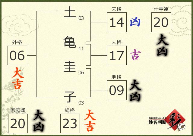診断結果画像